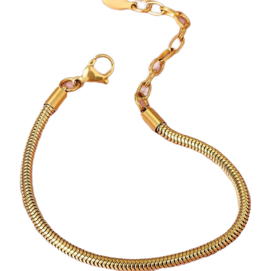 Gold Snake Chain Charm Bracelet